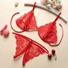 2018 lingerie Reggiseno aperto cavallo Porno pizzo intimo trasparente Baby Doll sexy hot eroticwomen abbigliamento esotico lingerie sexy Tback