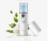 10st Nano Facial Mist Sprayer Cool Face Spray Steamer Mini USB Rechargable Facial Steamer med spegel Travel Fuktgivande ansiktssprayer