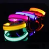 Collari per cani Guinzagli LED di sicurezza Collare per animali domestici illuminato ricaricabile USB Collare luminoso lampeggiante in nylon regolabile Cucciolo Forniture anti-smarrimento