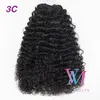 160g Indian Virgin Human Ponytail Naturlig Black Drawstring Afro Kinky Curly Straight Deep Wave Full Cuticle Justerad för hårförlängningar