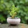 100 stks Ijs-gebarsten keramische bloempot met gat thuis desktop decoratie mini bloempot voor vetplanten vlezige planten