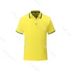 Sport Polo Ventilatie Sneldrogende Verkoop Topkwaliteit Mannen Korte Mouwen T-shirt Comfortabele stijl Jersey80