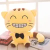 Cartoon Cute Cat Doll Big Tail Big Face Cat Plush Toys Pillow Dolls Ta med glada gåvor Soving Cotton Doll för barn039s Toy9618324