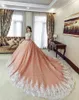 Abiti Quinceanera rosa cipria sexy Abito da ballo con spalle scoperte Applicazioni in pizzo bianco Tulle Dolce 16 Corte dei treni Abiti da sera taglie forti