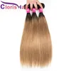 Trama de trama selecionada loira colorida malaia virgem de cabelo humano pacote misto 3pcs raízes escuras 1b 27 sedoso