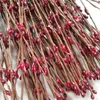 Hurtownie 40 cm DIY ładny Pip Berry Stem do Kwiatowego ArranManet Crafts Wedding Garland Decoration Akcesoria