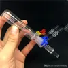 Tubi per fumare di alta qualità Mini Micro NC Kit con punta per unghie al quarzo 14mm 18mm Mini vetro Riciclaggio piattaforme petrolifere Bong