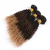 # 1B 4 27 Ombre Péruvien Bundles de Tissage de Cheveux Humains Kinky Bouclés Extensions de Trame de Cheveux Vierges Trois Tons Coloré Bundles de Cheveux Humains 3 Pcs