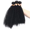 4B 4C Bulk Menselijk Haar voor Vlechten Peruaanse Afro Kinky Curly Bulk Hair Extensions Geen bijlage FDshine