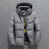 2019 Vit Duck Down Jacket Män Vinter Snö Parkas Tjock Varm Hooded Coats Overcoat Casual Windbreaker Jacket Male Down Parkas