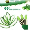 Drop 12pcslot New Batom 99 Aloe Vera Natural Deptrable Color Color Color Mally Mupstick Laft Laving Masturizing Makeup1896608