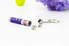 Hot Red Laser Pointer Pen Key Ring Toy med vit LED Light Show Portable Infrared Stick Funny Tease Cats Pet Leksaker med Retail Package