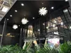 Modern Karahindi Led Tavan Işık Kristal Avizeler Aydınlatma Globe Ball Kolye Lamba Yemek Odası Yatak Odası Oturma Odası Lightti296m