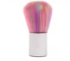 Brosses à ongles Rainbow acrylique Gel UV Nail Art Dust Cleaner ongles Brosses poussière Pinceau fond de teint pinceau de maquillage