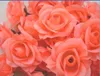 Salmon COLOURED 100pcs/lot Diameter 7-8cm Artificial Silk Camellia Rose Fabric Camellia Flower Heads WL1044