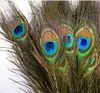 Penas de pavão naturais puras penas de pavão importadas faça você mesmo decoração de vaso para casa 25-30 cm W816