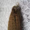 Kinky Straight Brazilian Micro Ring Loop Hair Extensions 100s 거친 Yaki Micro Loop Hair Extensions Micro Links 100G 루프 링 HA7861556