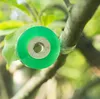 Nastro per innesti Cesoie per alberi da frutto Attrezzi da giardino Innestare rami Giardinaggio Nastri per cravatte in PVC