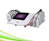 리포 레이저 슬리밍 기계 휴대용 I의 Lipo 레이저 기계