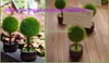 Livraison gratuite 50 pcs Faveurs De Mariage Cadeau Vert En Pot Plantes Place Titulaire De La Carte Pour Thème Vert Topiaire Arbre Place décoration de mariage