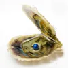 Edison Wunsch Perlen in Meerwasser Austern Single Runde Wish Perl