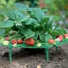 Apoio de plantas Plantadores de plantio de morango A rack suporta plantas escalando adereços de videira, suporte de jardinagem de pilares de flores Agricult9774285