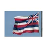 3x5ft amerikansk Hawaii State Flag med mässing Grommets Hängande annonsering Inomhus utomhus för evenemang Sport Party Club Användning