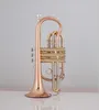 the cornet