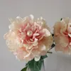 10 Sztuk Duża Pearl Peony Wielowarstwowe Płatki Jedwabne Kwiaty Oddział Na Home Decoration Flower Wall Wedding Fake Wreat