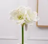 Flores artificiais de seda flor skaffir lírio clivia flor Simulação de Casamento ou Casa Flores Decorativas frete grátis