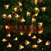 Luz de corda solar LED Luz 6m 30Leds Solar Power Fairy Fairy