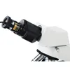Freeshipping Câmera CCD de Vídeo USB Microscópio Estéreo Biológico Imagem Captura industrial Ocular Eletrônico com 2 Anel Adaptador
