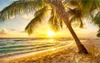 Anpassad storlek 3D PO Wallpaper vardagsrum Väggmålning Sunset Beach Coconut Tree Scenery PO SOFA TV Bakgrund Bakgrund Nonwoven WA2563666