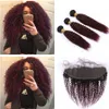 Burgundy Ombre Kinky Curly Peruvian Hair Weave Bundles 3Pcs with Frontal Closure 4Pcs Lot #1B/99J Wine Red Ombre Curly Human Hair Wefts