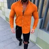 2019 New men Slim Fit Linen shirts Male Sexy V -neck Cato Linen shirt Tops Effen Color Long Mouw flax shirts M -3XL