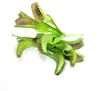 95quot 2Color Artificial Venus Flytrap Plant Greenpurple Pest Control Fake Plants Succulent Decor Home Display Bouquet1106900