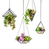 Creative Waterdrop Design Hanging Glass Terrarium Planter Modern Geometric Succulent Pot Diamond Shape Artistic Centerpiece Flower Vase