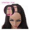 Unprocessed Kinky Curly U Part Brazilian Human Hair Wig 1024 inch 130 Density Natural Color Can Be Dyed for Black Women4839317