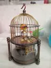 Cage à oiseaux en laiton Rare, horloge de Table mécanique, réveil 0126921251