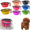 pet travel water bowls