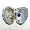 Großhandels30pcs / lot Austern mit Round Edison Einzelperlen Perlen 9-12 mm Multicolors Süßwasserperlen für DIY Geschenk Schmuck vakuumverpackt