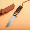 Новое прибытие Открытый выживания прямой охотничий нож VG10 Дамаск стали каплепадения лезвие Ebony Ручка Fixed лезвия ножей
