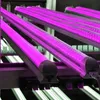 Fioletowy różowy kolor 395nm 400nm UVA LED LED Lights 390nm UV LED Blaclight T8 Zintegrowana lampa w kształcie litery V ultrafioletowa dezynfekcja żarówki