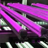 Couleur rose pourpre 395nm 400nm UVA LED Tube lumières 390NM UV LED Blacklight T8 lampe en forme de V intégrée ampoule de germe de désinfection ultraviolette