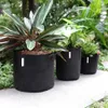 Plant Grow Bags, 300G pots Premium Series Thickened Non-Woven Breathable Fabric Pots, Reinforced Weight Capacity and Durable
