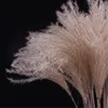 Spedizione gratuita bianco colore rosa naturale essiccato pampas erba matrimonio mazzo di fiori decorazione della casa di Pasqua bouquet di fiori eterni