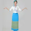 Asien elegant Festival-Bühne trägt Partei Kostüm traditionelle Dai ethnische Anzüge Thailand Frauen-Leistungskleidung halbes Hülsensommerkleid