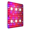 BloomveG Full Spectrum 3000K 4000K LED Grow Lights 3000W Cob Plant Light Lampa do Krytych Roślin Szklarni