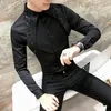 MEN SHIRT SLIM FIT LING SLEEVE 2020 Spring Tuxedo Shirt Men Sexy Lace Plantwork Casual Party Dress Dress