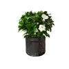 Ambientalmente amigável planta não -wovens Plant Grow Bag Potling Plower Planter Flower Green Plants Gardening Poth Bolsa com alça